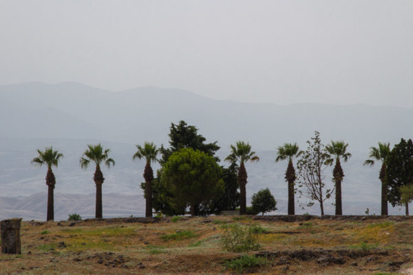 Турция. Памуккале. На краю древнего города Иераполис Турция. Памуккале. На краю древнего города Иераполис