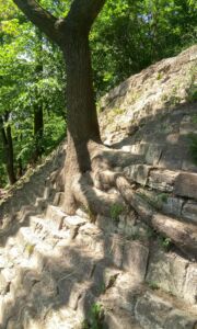 По пути на верх, на Высокий Замок По пути на верх, на Высокий Замок