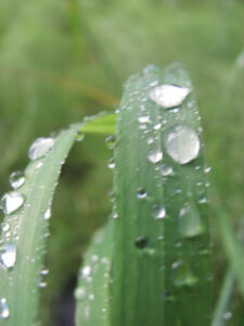 2013-08-09 20-08--931 - Водный поход в Восточном Саяне Назар.jpg