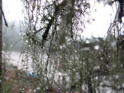 2013-08-09 20-15--936 - Водный поход в Восточном Саяне Назар.jpg