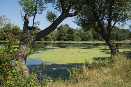 Губник. Карьеры. Южный Буг рядом с карьерами Губник. Карьеры. Южный Буг рядом с карьерами