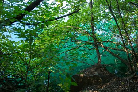 Губник. Карьеры. Вид на воду в тени деревьев Губник. Карьеры. Вид на воду в тени деревьев