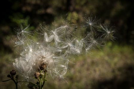 Губник. Карьеры. Жаркий август Губник. Карьеры. Жаркий август