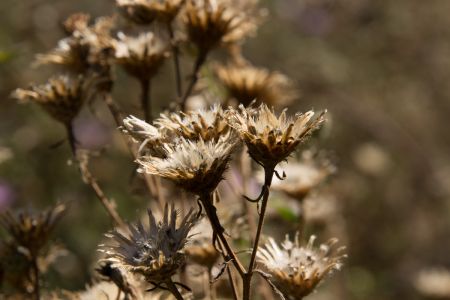 Губник. Карьеры. Сухое лето Губник. Карьеры. Сухое лето