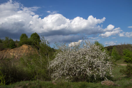 Первомайский уикенд на Южном Буге. Весна Первомайский уикенд на Южном Буге. Весна