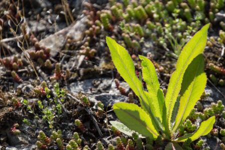 Первомайский уикенд на Южном Буге. Из камня Первомайский уикенд на Южном Буге. Из камня