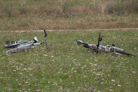 Отдыхаем мы и велики Отдыхаем мы и велики