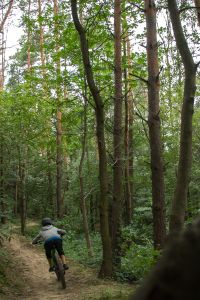 Столен Винница Столен Винница