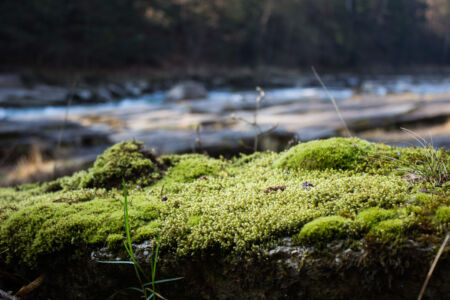 Карпаты соревнования на Свиче