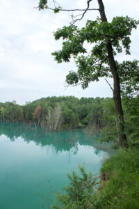 Уикенд на озере. Затопленный Черепашинский карьер Черепашинский карьер