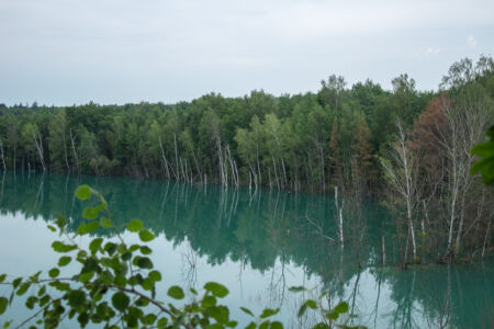 Уикенд на озере. Затопленный Черепашинский карьер Затопленные дерьвья в Черепашинском карьере