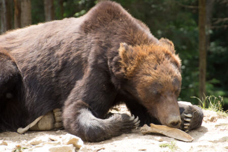 2015-06-27--12-13--020 - Тур по Закарпатью