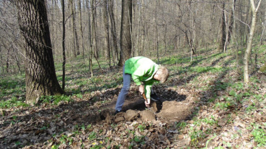 Артем готовит место для костра Артем готовит место для костра