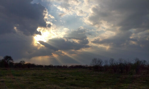 Световые столбы Световые столбы