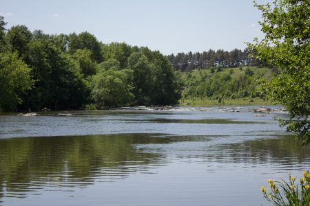 Если присмотреться, то можно увидеть серую цаплю 2015-05-23--13-20--004 - Уикенд на Южном Буге в Гранитном