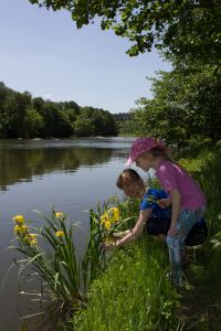 А что это цветет? 2015-05-23--13-20--005 - Уикенд на Южном Буге в Гранитном