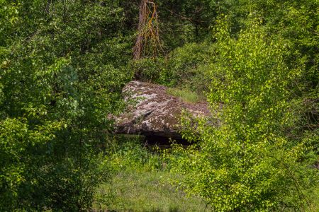 Голова кобры 2015-05-23--15-34--023 - Уикенд на Южном Буге в Гранитном