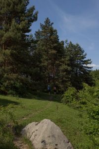 Сосновая роща в каньоне 2015-05-23--15-36--026 - Уикенд на Южном Буге в Гранитном