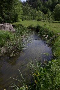 Речушка Устя 2015-05-23--15-38--034 - Уикенд на Южном Буге в Гранитном