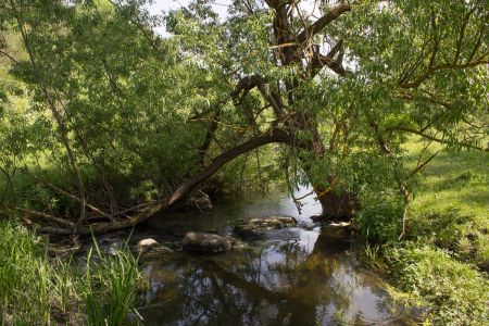 Устя 2015-05-23--15-42--037 - Уикенд на Южном Буге в Гранитном