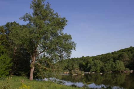 Природа Южного Буга 2015-05-23--17-57--074 - Уикенд на Южном Буге в Гранитном