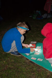 Дети раскладывают пасьянс 2015-05-31--21-39--041 - Выходные в Гранитном