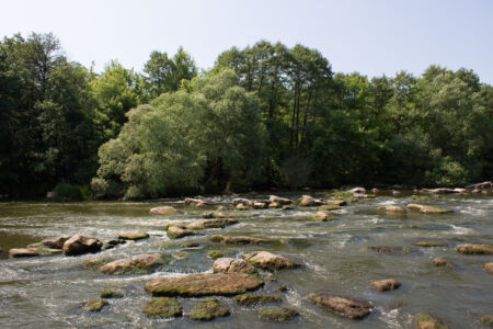 Южный Буг катастрофически обмелел 2015-06-01--10-36--057 - Выходные в Гранитном