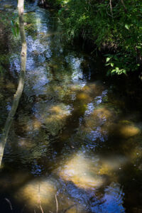 Вода в речке Устя 2015-06-01--11-06--060 - Выходные в Гранитном