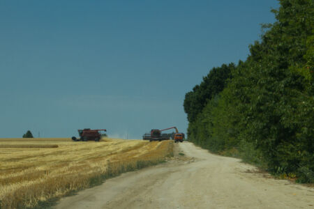 Отдых на реке Ушица. Мы на отдых, а хлеборобы работают Отдых на реке Ушица. Мы на отдых, а хлеборобы работают