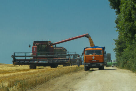 Отдых на реке Ушица. Сбор урожая Отдых на реке Ушица. Сбор урожая