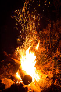 Отдых на реке Ушица. Остановись мгновенье Отдых на реке Ушица. Остановись мгновенье