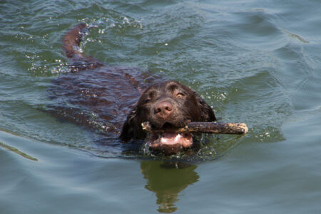 Отдых на реке Ушица. Не бросайте далеко Отдых на реке Ушица. Не бросайте далеко