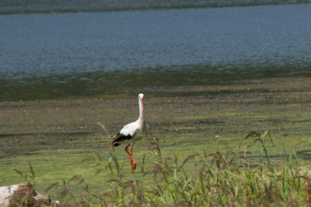 Отдых на реке Ушица. Ты что снимаешь? Отдых на реке Ушица. Ты что снимаешь?